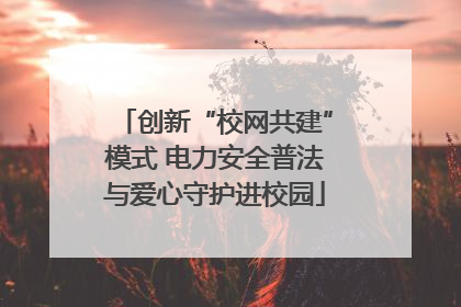 创新“校网共建”模式 电力安全普法与爱心守护进校园