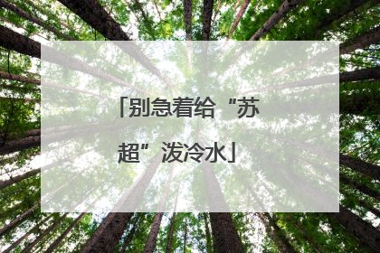 别急着给“苏超”泼冷水
