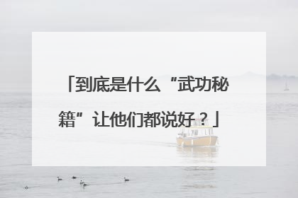 到底是什么“武功秘籍”让他们都说好？