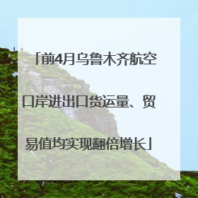 前4月乌鲁木齐航空口岸进出口货运量、贸易值均实现翻倍增长