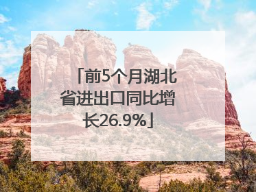 前5个月湖北省进出口同比增长26.9%