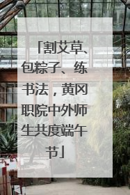 割艾草、包粽子、练书法，黄冈职院中外师生共度端午节