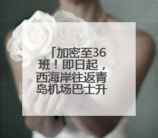 加密至36班！即日起，西海岸往返青岛机场巴士升级