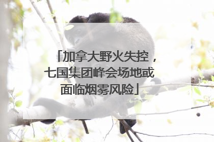 加拿大野火失控，七国集团峰会场地或面临烟雾风险