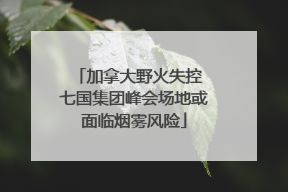 加拿大野火失控 七国集团峰会场地或面临烟雾风险