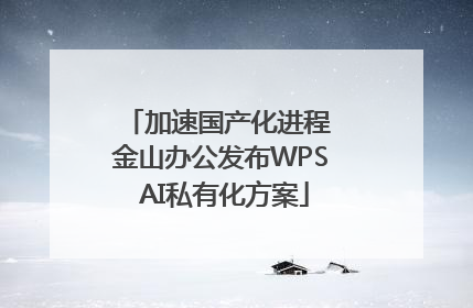 加速国产化进程 金山办公发布WPS AI私有化方案