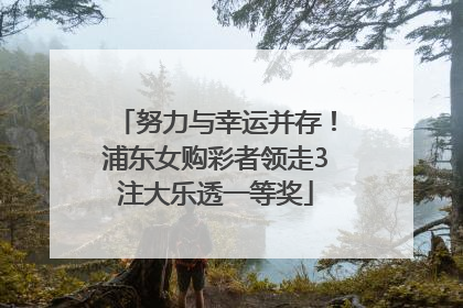 努力与幸运并存！浦东女购彩者领走3注大乐透一等奖
