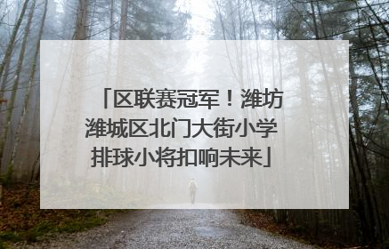 区联赛冠军！潍坊潍城区北门大街小学排球小将扣响未来