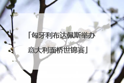 匈牙利布达佩斯举办意大利面桥世锦赛