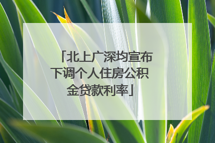 北上广深均宣布下调个人住房公积金贷款利率