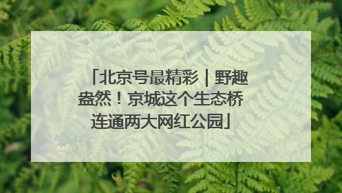 北京号最精彩｜野趣盎然！京城这个生态桥连通两大网红公园