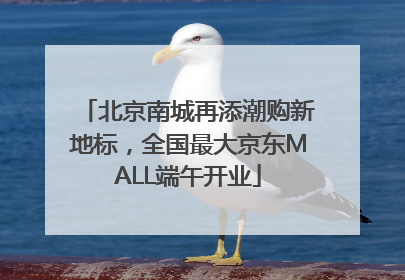 北京南城再添潮购新地标，全国最大京东MALL端午开业