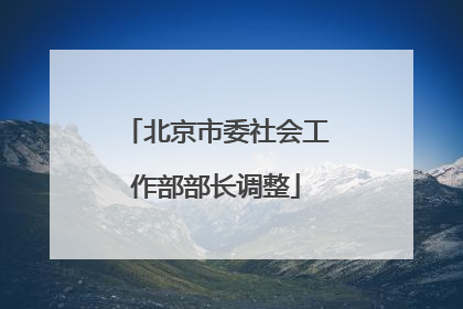 北京市委社会工作部部长调整