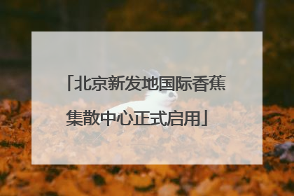 北京新发地国际香蕉集散中心正式启用