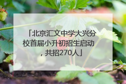北京汇文中学大兴分校首届小升初招生启动，共招270人