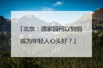 北京：潘家园何以悄悄成为年轻人心头好？