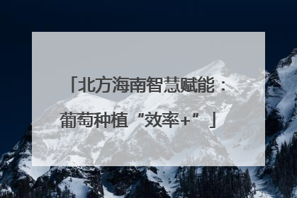 北方海南智慧赋能：葡萄种植“效率+”