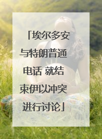 埃尔多安与特朗普通电话 就结束伊以冲突进行讨论