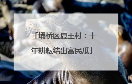 埇桥区夏王村：十年耕耘结出富民瓜