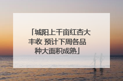 城阳上千亩红杏大丰收 预计下周各品种大面积成熟