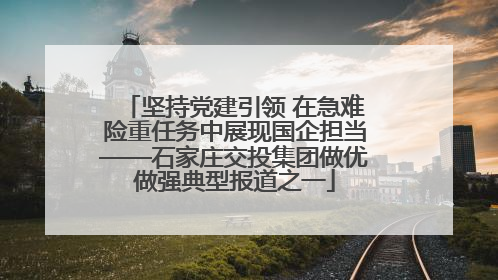 坚持党建引领 在急难险重任务中展现国企担当——石家庄交投集团做优做强典型报道之一
