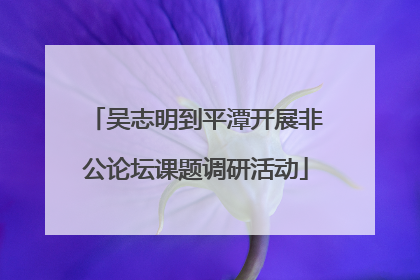 吴志明到平潭开展非公论坛课题调研活动