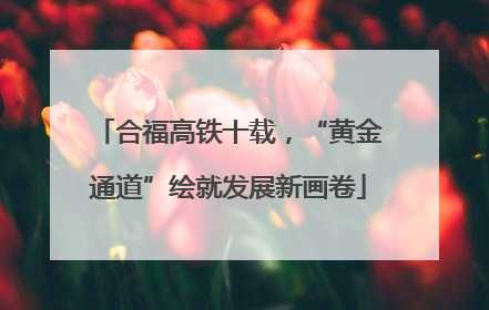 合福高铁十载，“黄金通道”绘就发展新画卷