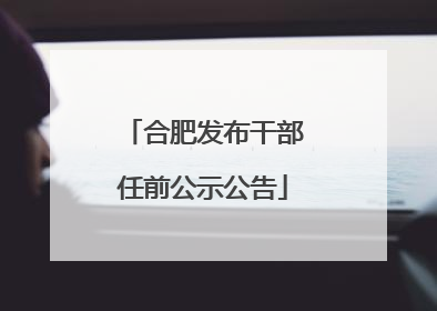 合肥发布干部任前公示公告