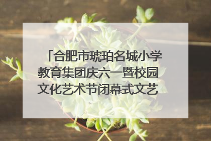 合肥市琥珀名城小学教育集团庆六一暨校园文化艺术节闭幕式文艺汇演圆满举行