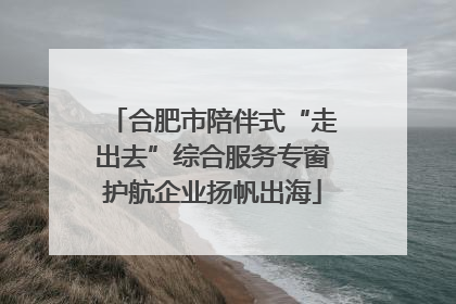 合肥市陪伴式“走出去”综合服务专窗护航企业扬帆出海