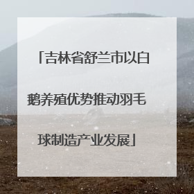 吉林省舒兰市以白鹅养殖优势推动羽毛球制造产业发展