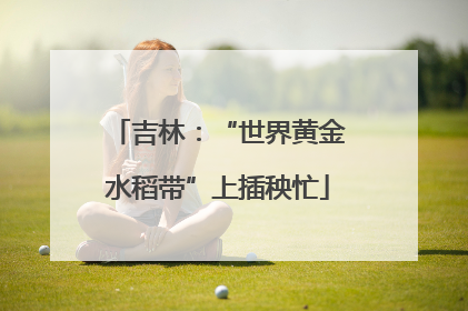 吉林：“世界黄金水稻带”上插秧忙
