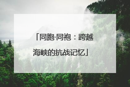 同胞·同袍：跨越海峡的抗战记忆