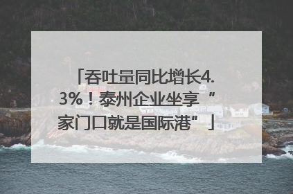 吞吐量同比增长4.3%！泰州企业坐享“家门口就是国际港”