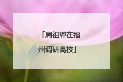 周祖翼在福州调研高校