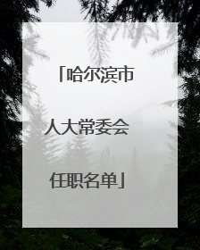 哈尔滨市人大常委会任职名单