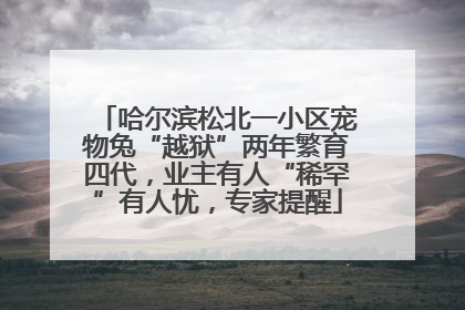哈尔滨松北一小区宠物兔“越狱”两年繁育四代，业主有人“稀罕”有人忧，专家提醒