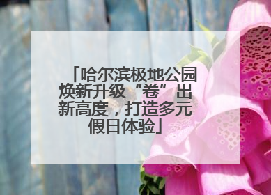 哈尔滨极地公园焕新升级“卷”出新高度，打造多元假日体验