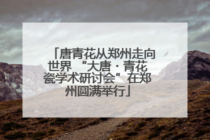 唐青花从郑州走向世界 “大唐・青花瓷学术研讨会”在郑州圆满举行