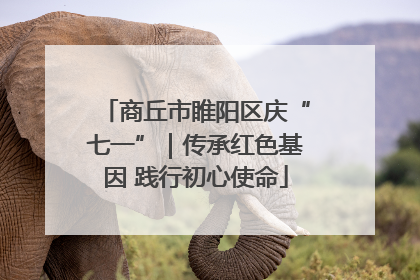 商丘市睢阳区庆“七一”｜传承红色基因 践行初心使命