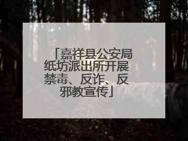 嘉祥县公安局纸坊派出所开展禁毒、反诈、反邪教宣传