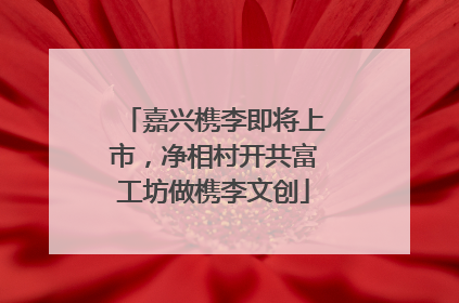 嘉兴槜李即将上市，净相村开共富工坊做槜李文创