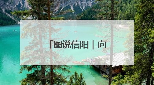 图说信阳｜向日葵花绽放 乡村旅游火热