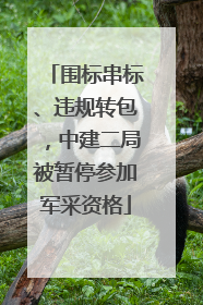 围标串标、违规转包，中建二局被暂停参加军采资格