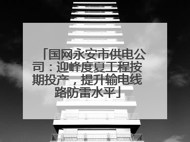 国网永安市供电公司：迎峰度夏工程按期投产，提升输电线路防雷水平