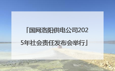 国网洛阳供电公司2025年社会责任发布会举行