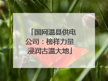 国网温县供电公司：榜样力量浸润古温大地