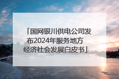 国网银川供电公司发布2024年服务地方经济社会发展白皮书