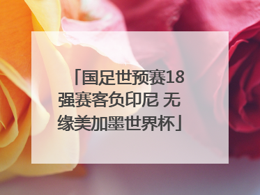 国足世预赛18强赛客负印尼 无缘美加墨世界杯