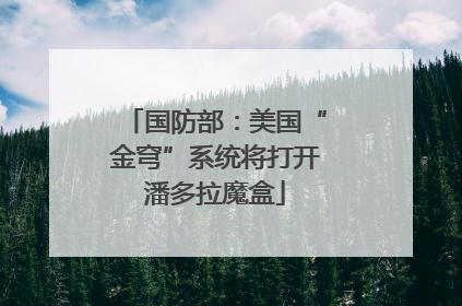 国防部：美国“金穹”系统将打开潘多拉魔盒